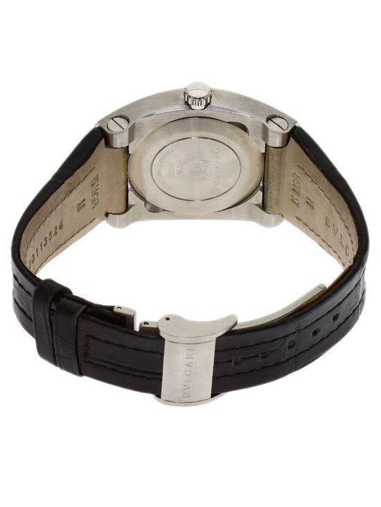 Bvlgari Ergon Watch SS Leather main image 9